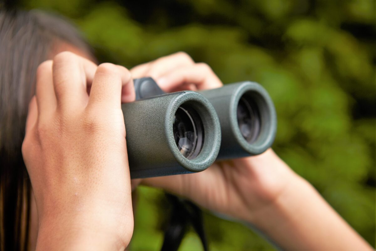 Birdwatching - zážitek na Broumovsku