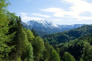 Horský masiv Ötscher - pěší turistika v Dolním Rakousku