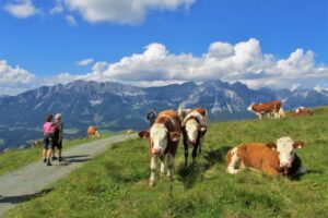 Kitzbühelské Alpy - zájezd s pohodovou turistikou lanovkami