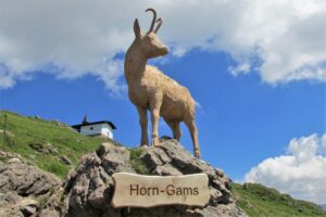Kitzbühelské Alpy - zájezd s pohodovou turistikou lanovkami