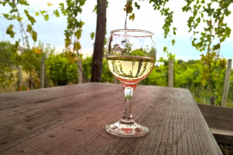 Vinobraní v Tokaji a termální dobrodružství