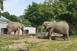 Vratislavská ZOO - jednodenní zájezdy do Polska