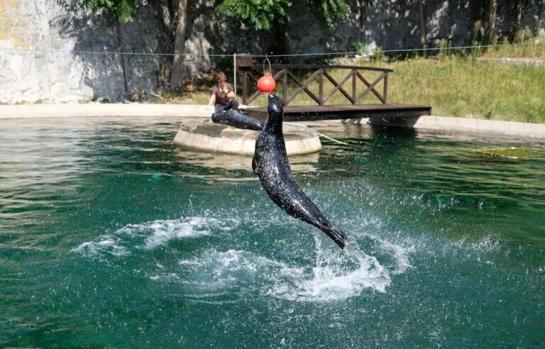 Wroclaw: ZOO a vodní dobrodružství